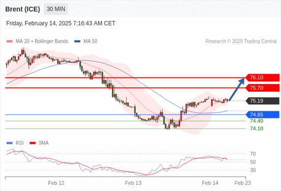 【XM Group】：2025年2月14日欧洲开市前，每日技术分析(图8)