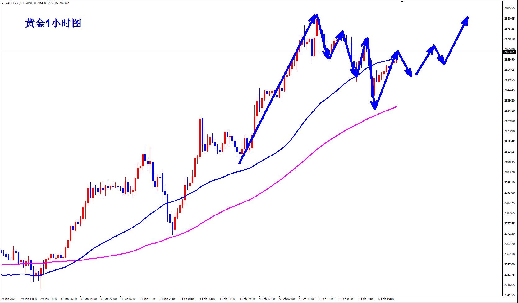【XM外汇】：黄金探底回升走稳，早盘回落2850继续多！(图1)