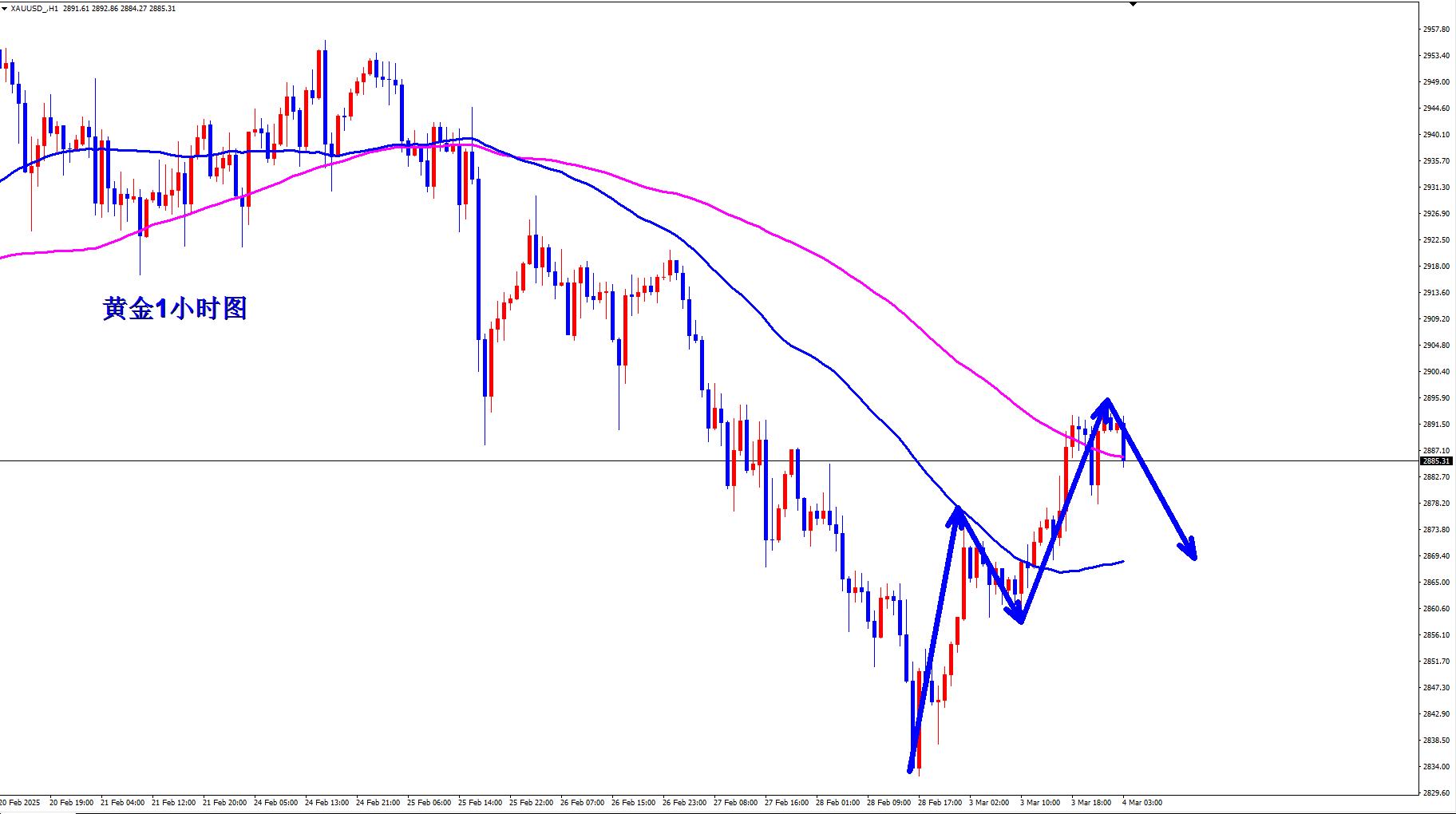 【XM官网】：黄金早盘2887现价直接空！(图1)