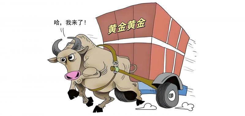 【XM外汇决策分析】：注意，金价将测试此位支撑(图1)