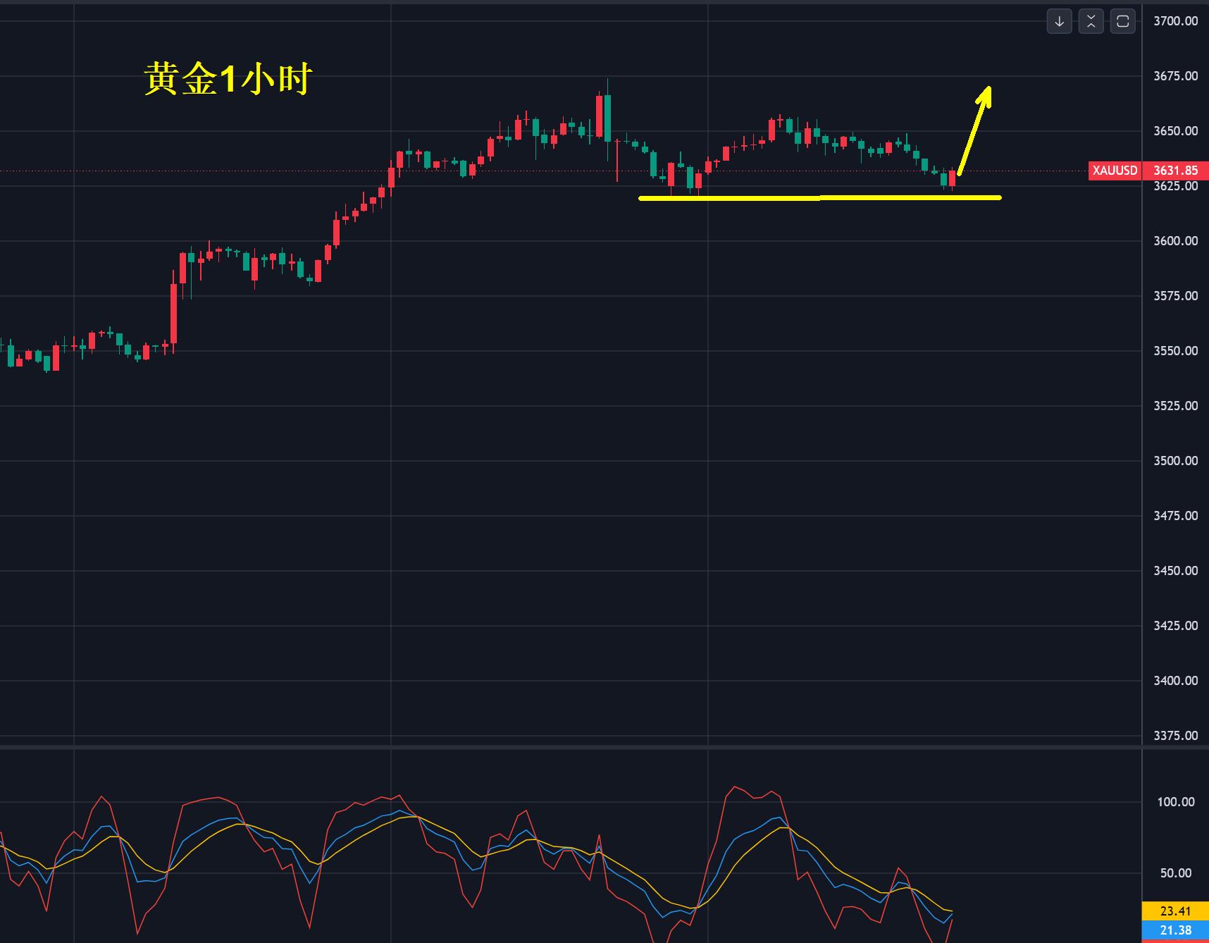 【XM Group】：黄金，3630多！(图1)