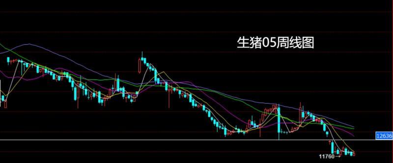 【XM官网】:联储降息美指跌,生猪05布局多(图6) 【XM官网】:联储降息美指跌,生猪05布局多(图6)